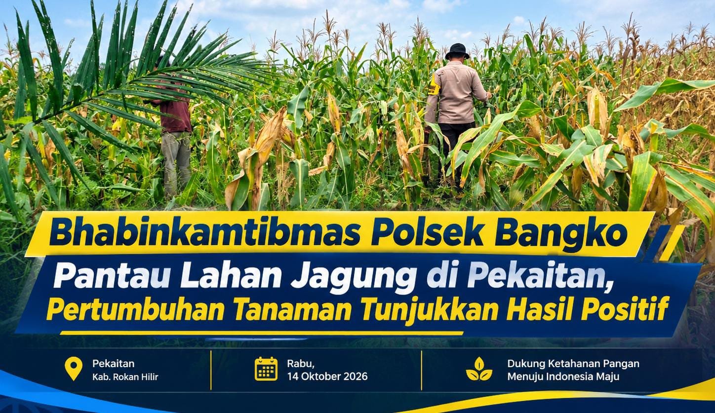 Bhabinkamtibmas Polsek Bangko Pantau Lahan Jagung di Pekaitan