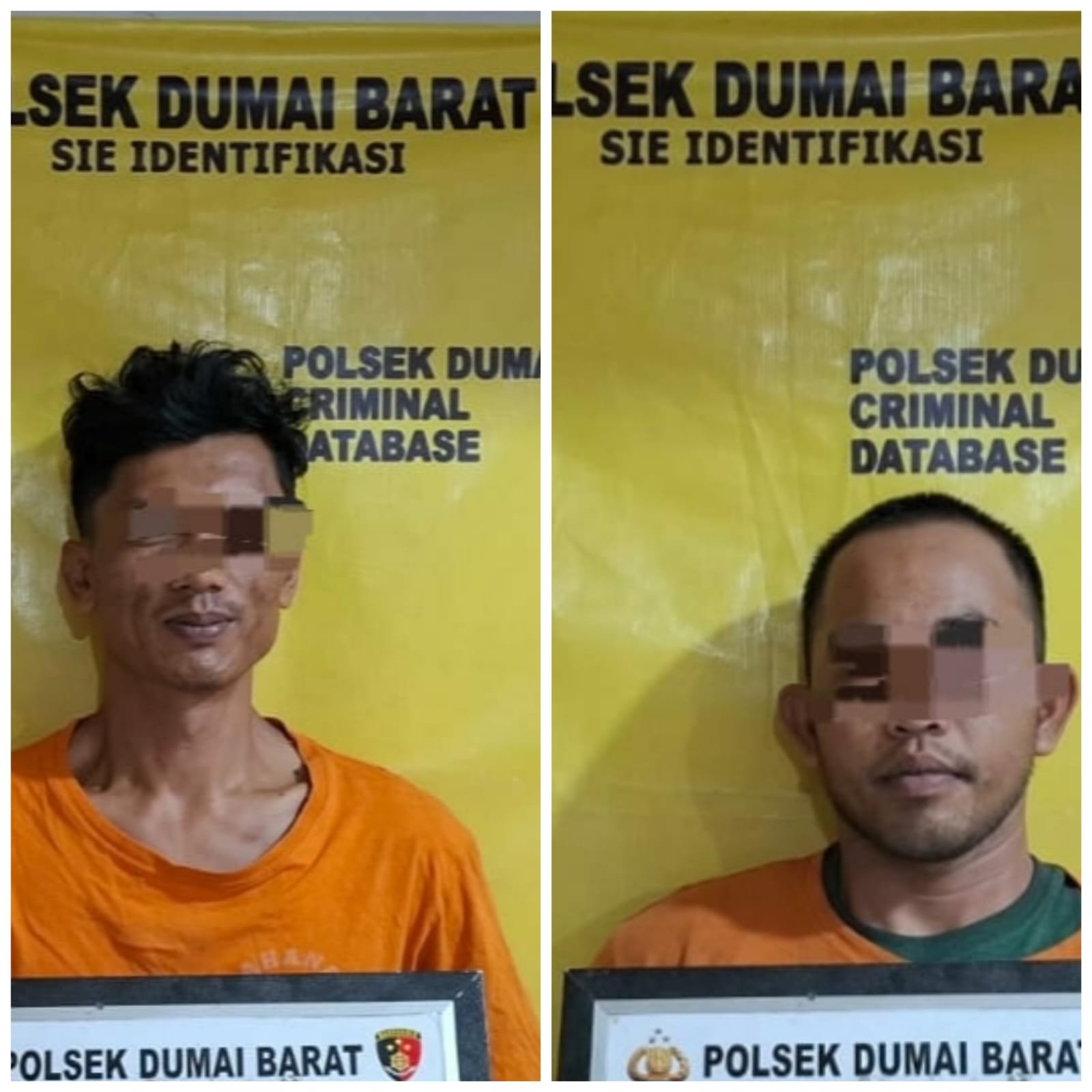 Dari Bagan Batu Menuju Dumai, Pengiriman Inti Sawit Berujung Dugaan Penggelapan