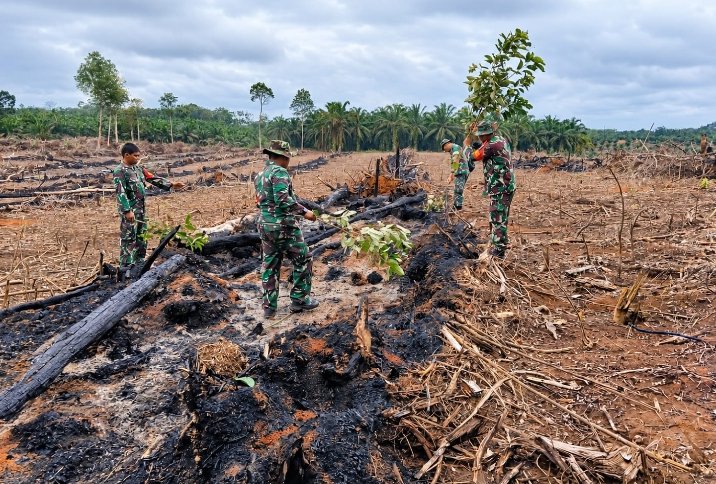 Cek Lapangan Hari Ini, Kodam XIX/Tuanku Tambusai Pastikan Tidak Ada Api di Lokasi Firespot