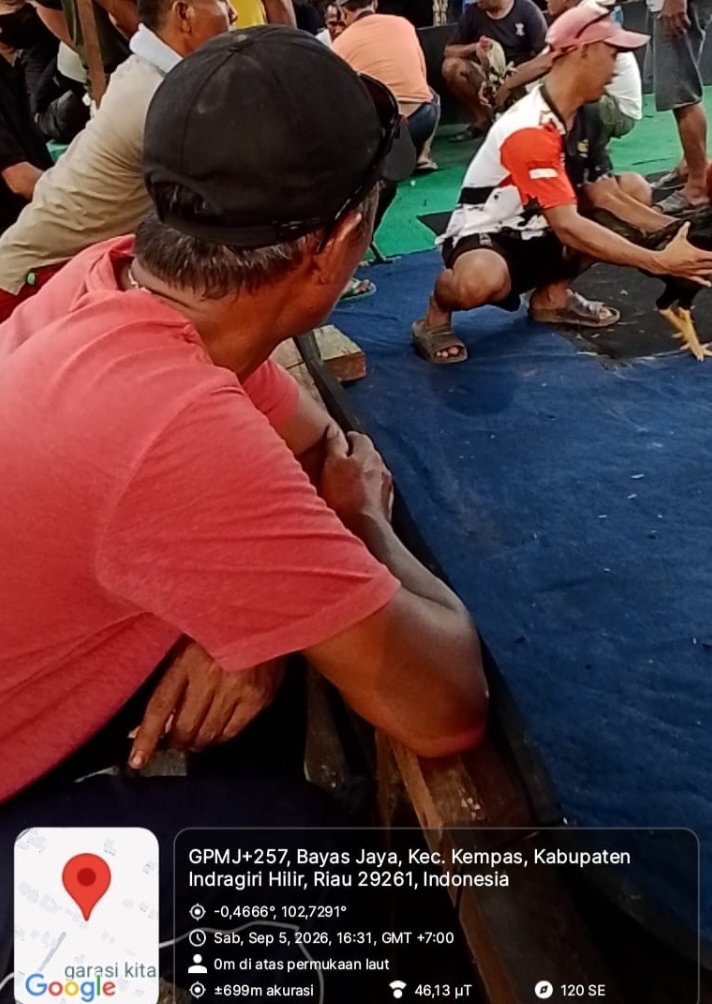 Sabung Ayam dan Judi Dadu, bebas beroperasi di  Bayas Jaya,Kempas  Inhil Omset ratusan juta